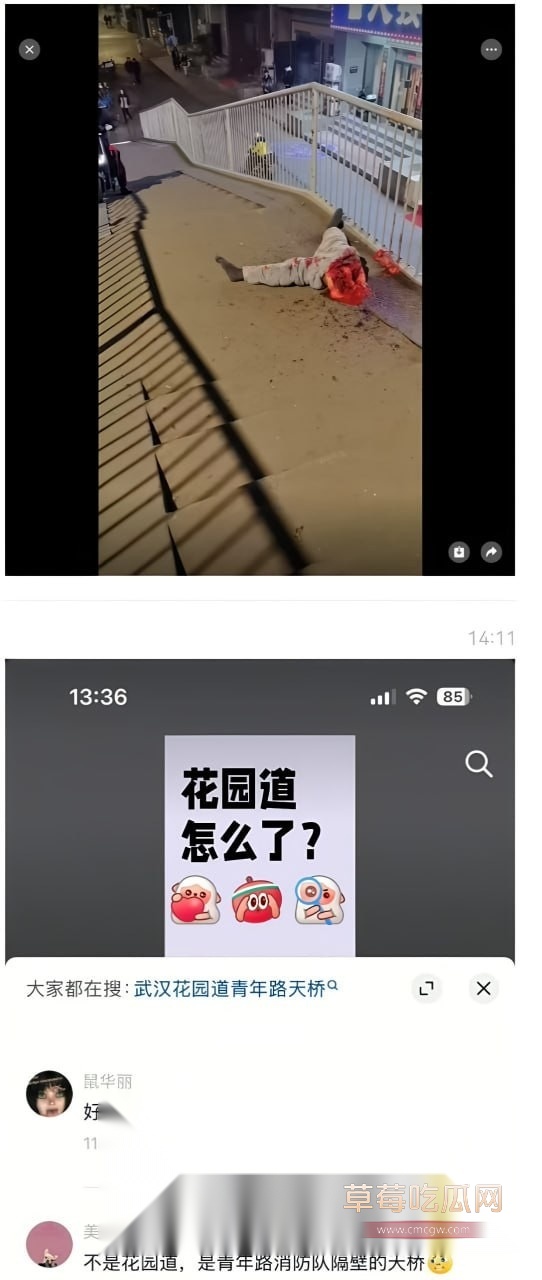 武汉碎尸1.jpg