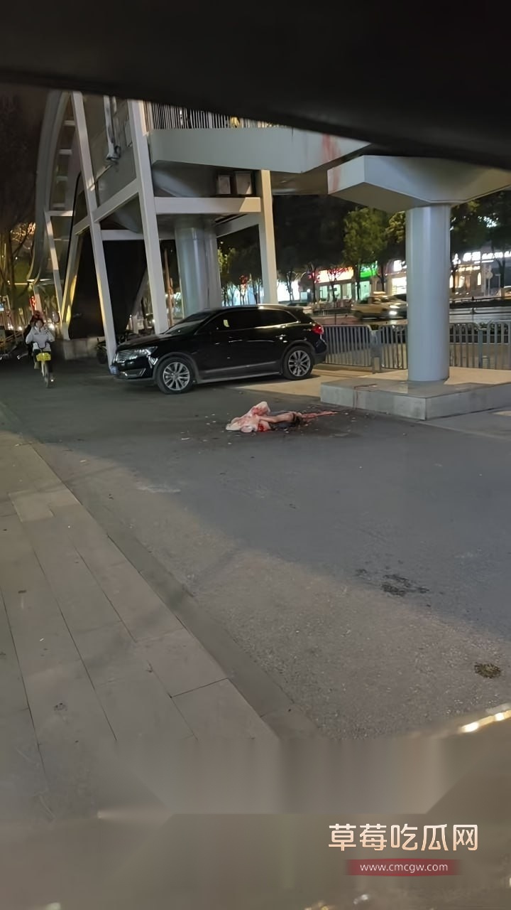 武汉碎尸3.jpg
