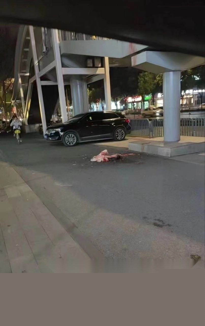 武汉碎尸5.jpg