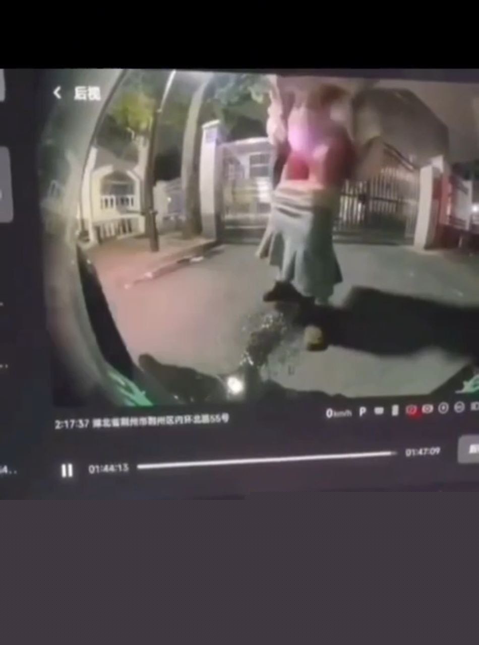 哨兵抓拍2.jpg