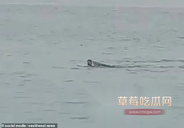 虎鲨杀人3.jpg 虎鲨杀人3.jpg