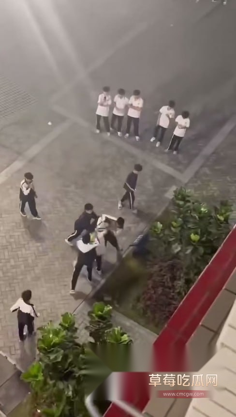 s4.jpg