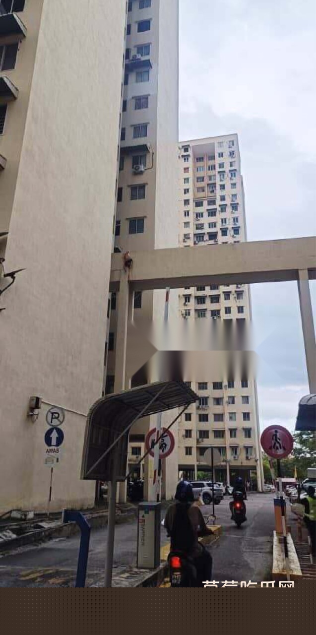 a1.jpg a1.jpg