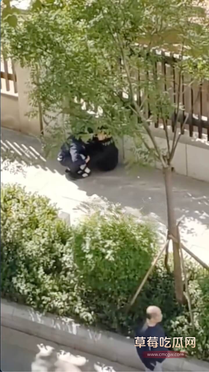 c3.jpg