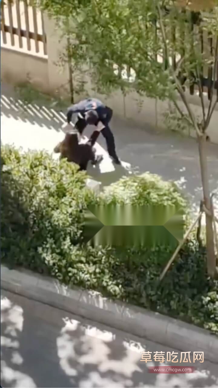 c4.jpg