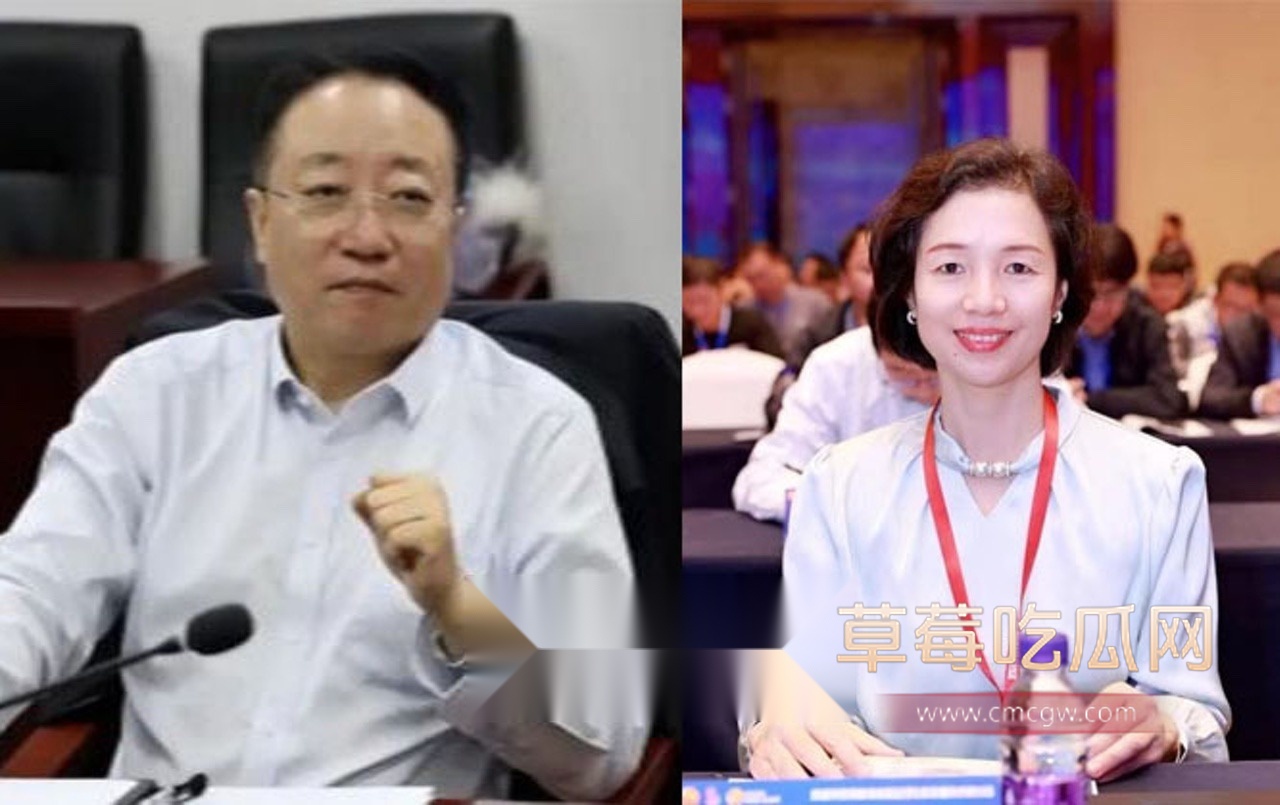 董袭莹学历造假2.jpg 董袭莹学历造假2.jpg