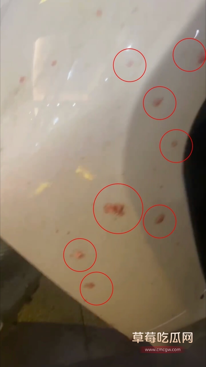 东莞数字谷跳楼3.jpg 东莞数字谷跳楼3.jpg