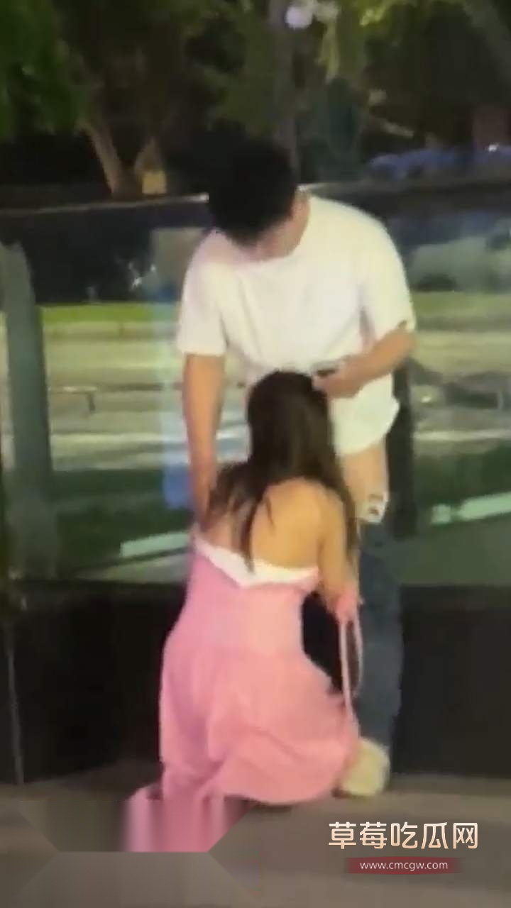 大胆情侣街头吃鸡 (4) 大胆情侣街头吃鸡 (4)