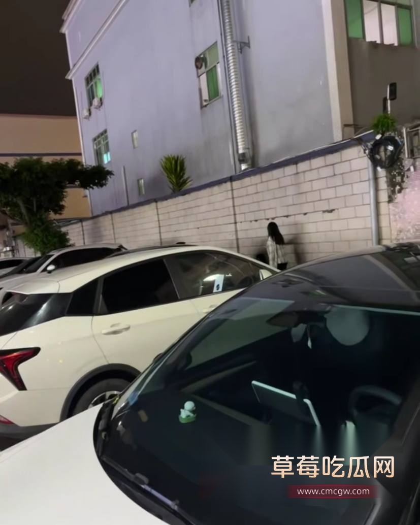 小学生开房被姐姐抓包 (2) 小学生开房被姐姐抓包 (2)