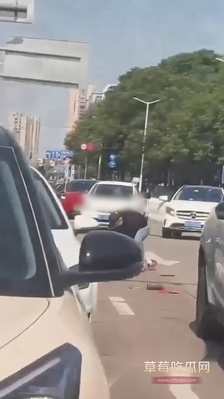 海宁街头杀人实录 (2) 海宁街头杀人实录 (2)