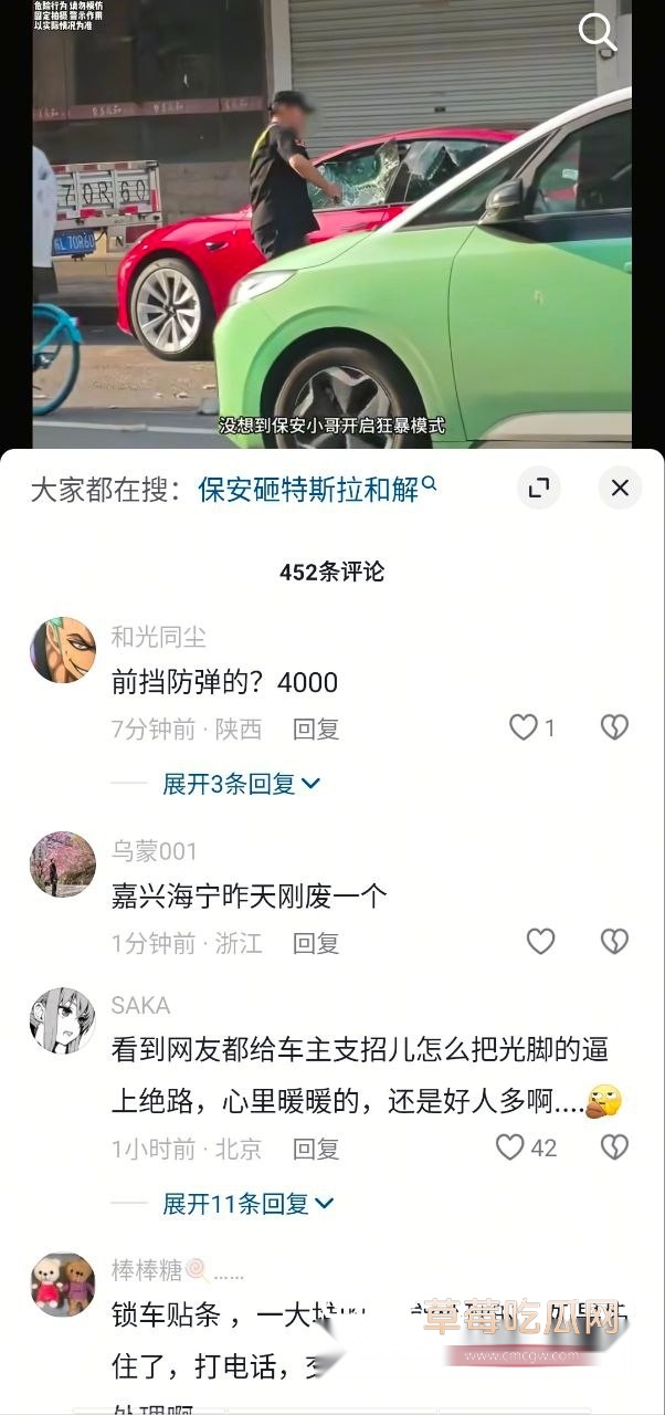 保安砸特斯拉 (6) 保安砸特斯拉 (6)
