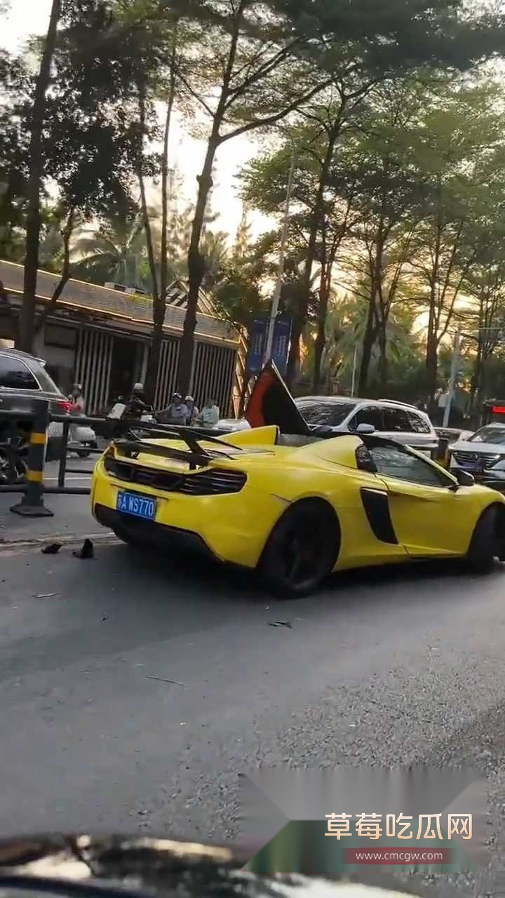 租车装逼翻车 2 租车装逼翻车 2