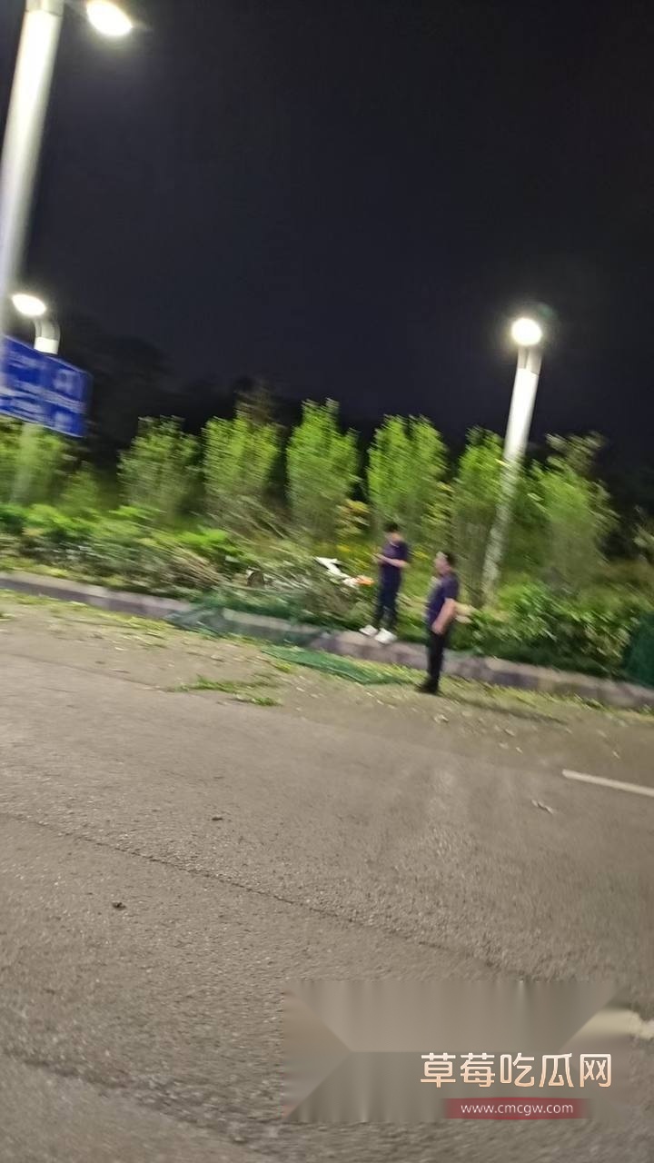 小米su7起飞失败2.jpg 小米su7起飞失败2.jpg