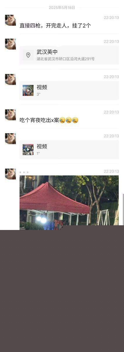 武汉烧烤摊枪击案 2 武汉烧烤摊枪击案 2