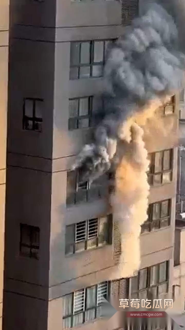 重庆高层起火 1 重庆高层起火 1