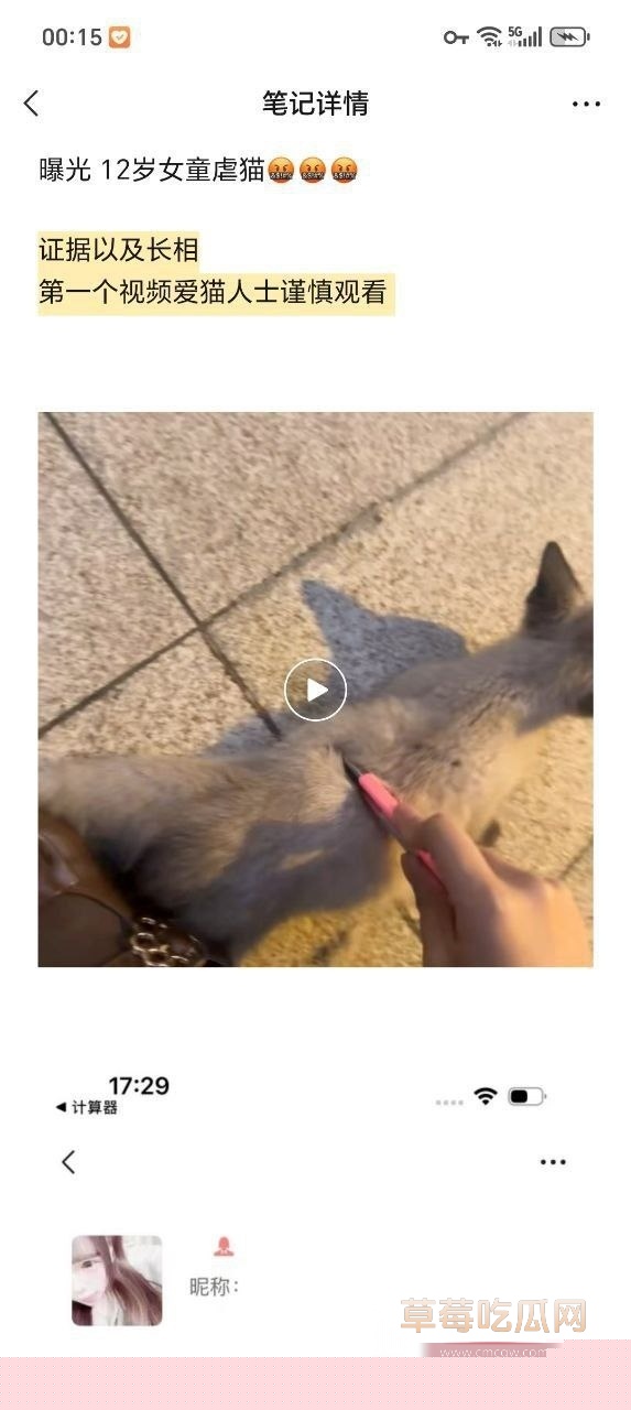虐猫事件1 虐猫事件1