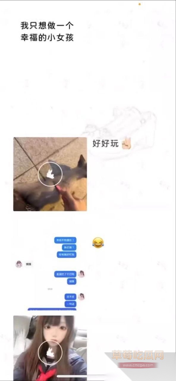虐猫事件2 虐猫事件2