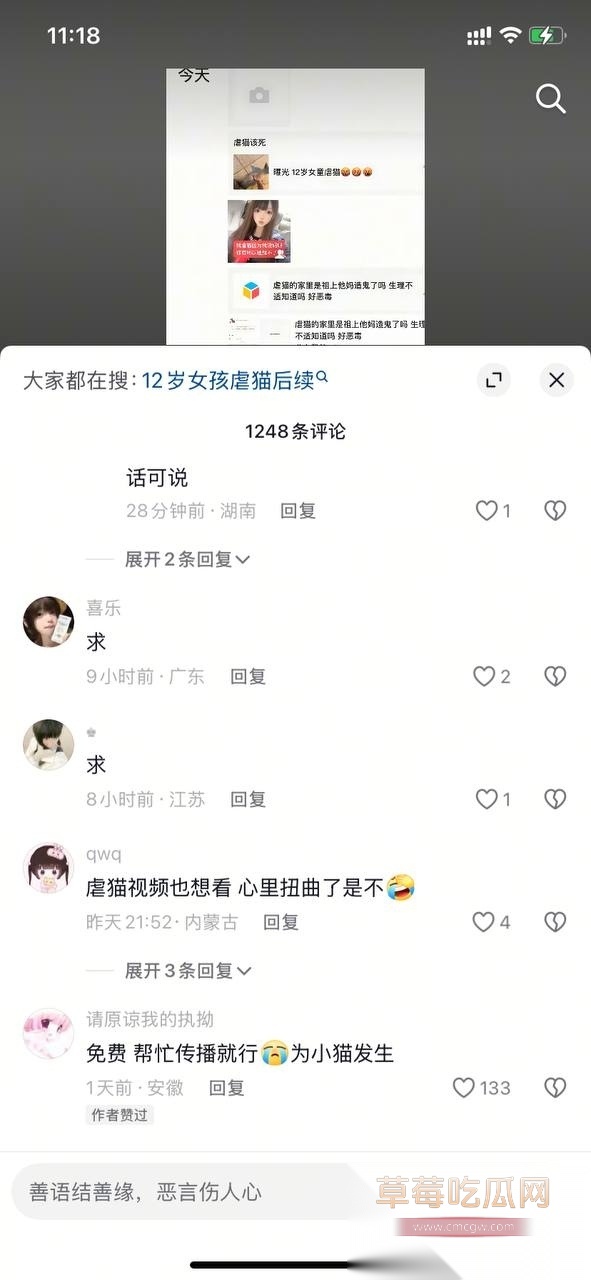 虐猫事件4 虐猫事件4