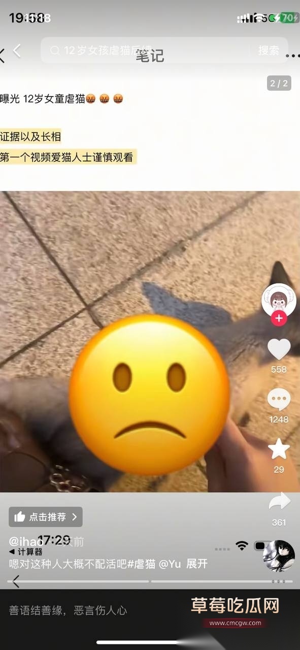 虐猫事件7 虐猫事件7