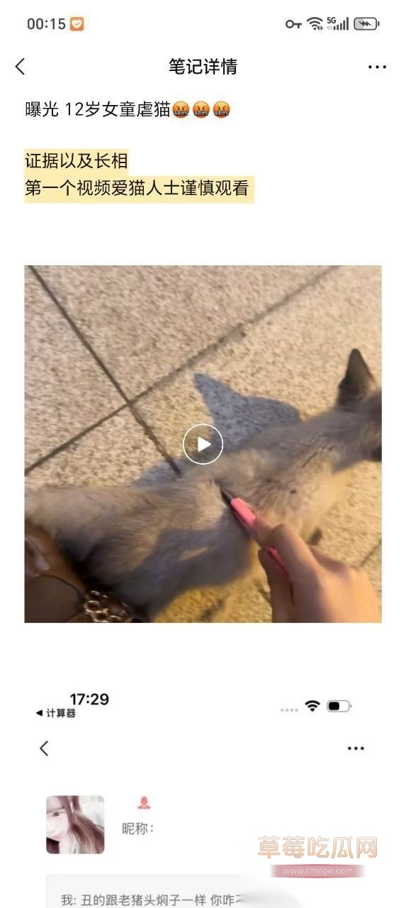 虐猫事件8 虐猫事件8
