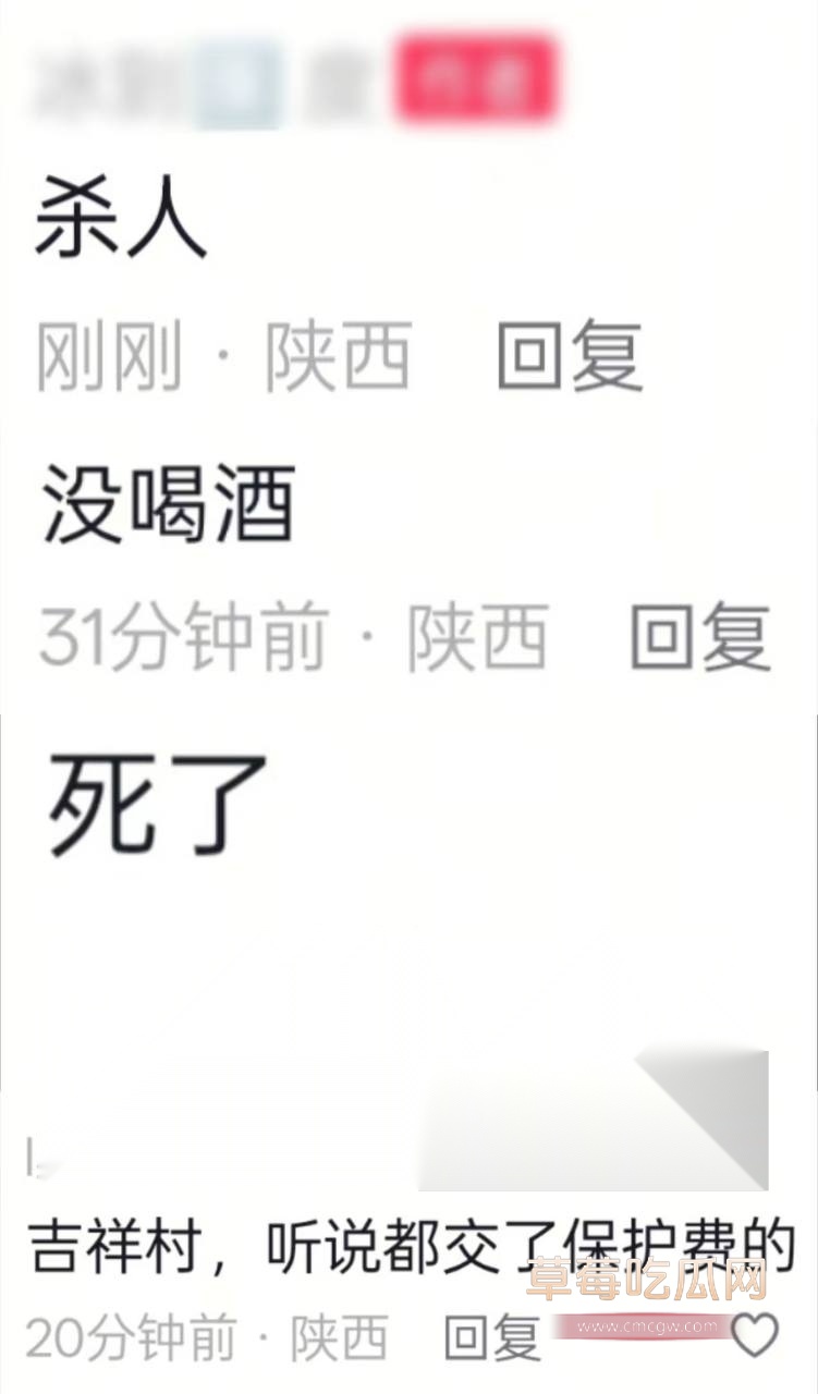 西安吉祥村血案 4 西安吉祥村血案 4