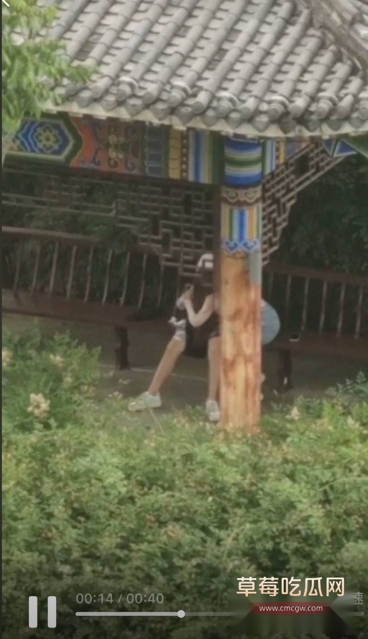 校园吃鸡 3