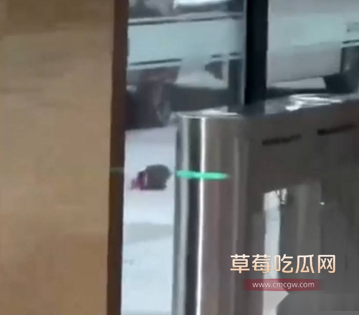 网传深圳龙华新龙大厦砍头肢解丢下来 4 网传深圳龙华新龙大厦砍头肢解丢下来 4