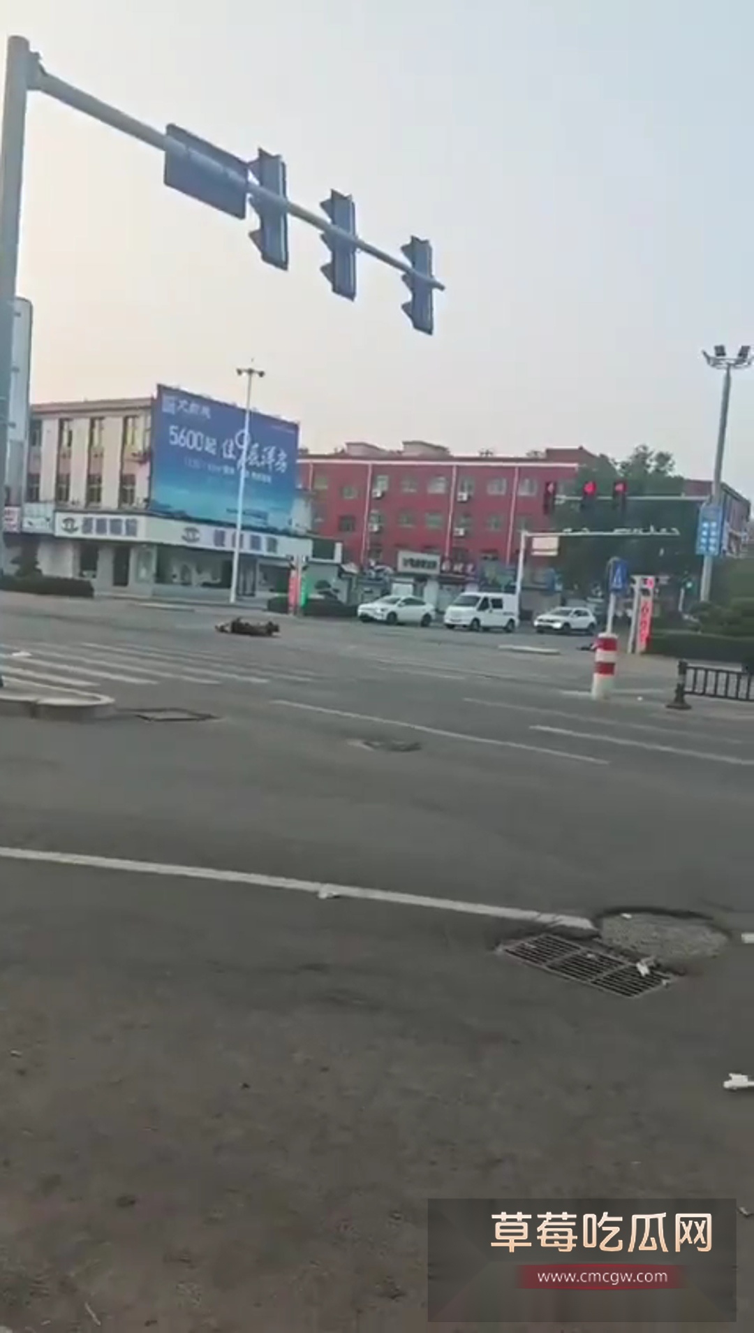 重大车祸多人受伤肇事逃逸 1