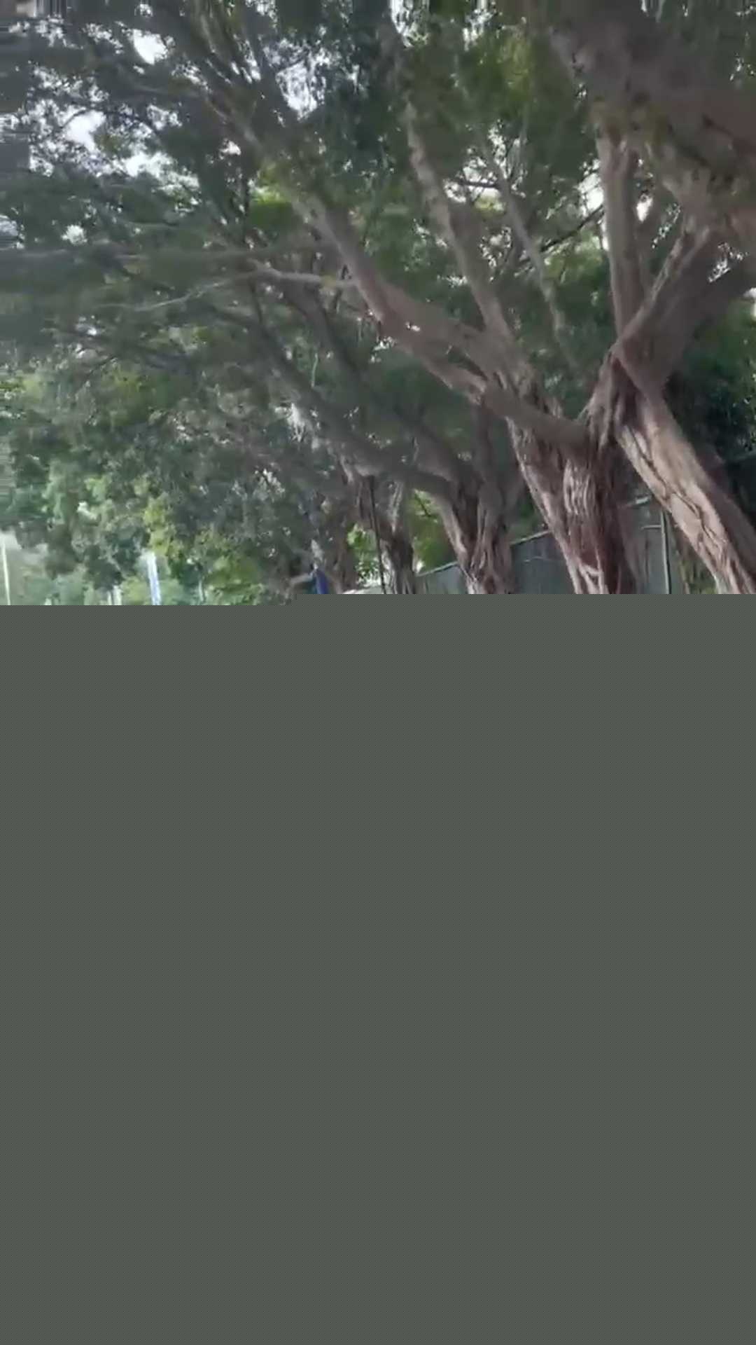 在马路上叼嗨 1 在马路上叼嗨 1