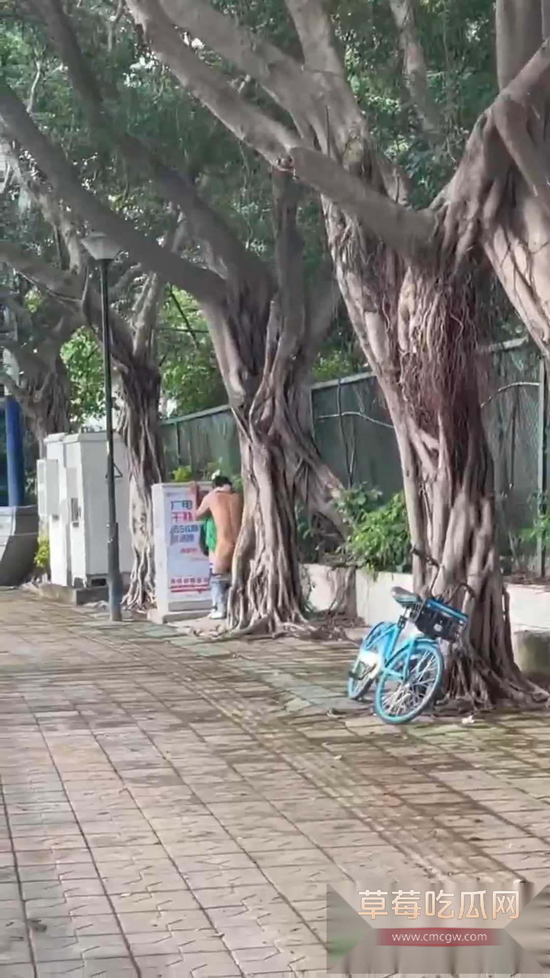 在马路上叼嗨 2 在马路上叼嗨 2