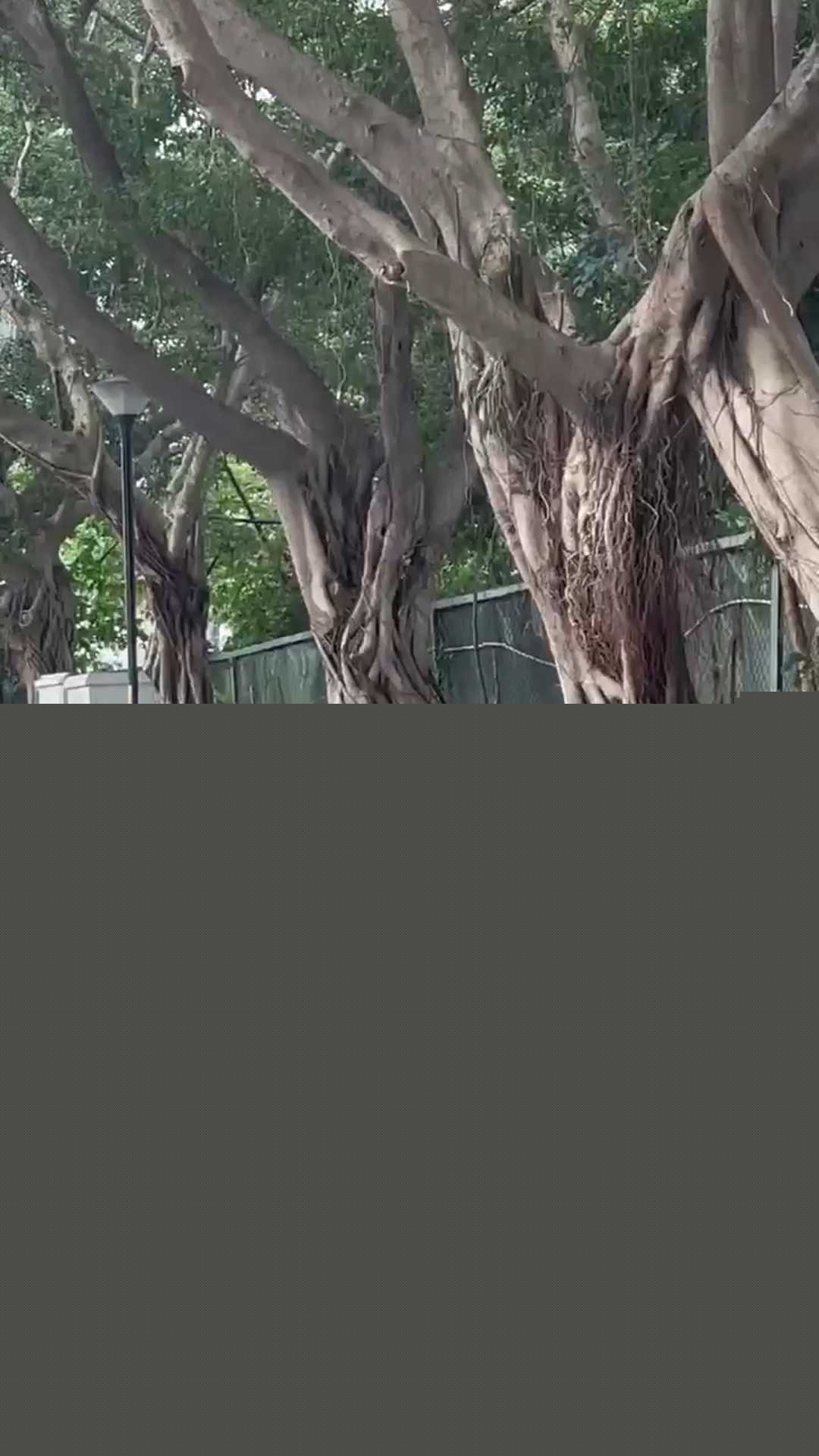 在马路上叼嗨 3 在马路上叼嗨 3