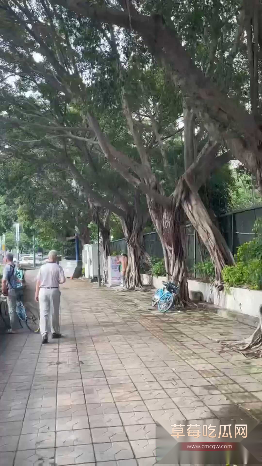 在马路上叼嗨 4 在马路上叼嗨 4