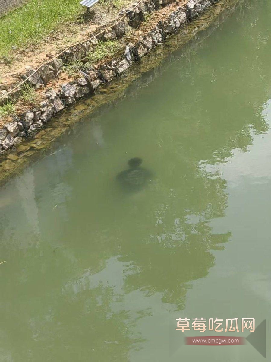 学校溺亡事件 1 学校溺亡事件 1