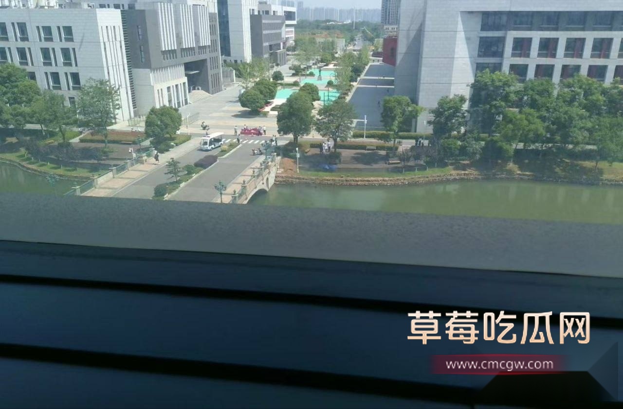 学校溺亡事件 7 学校溺亡事件 7