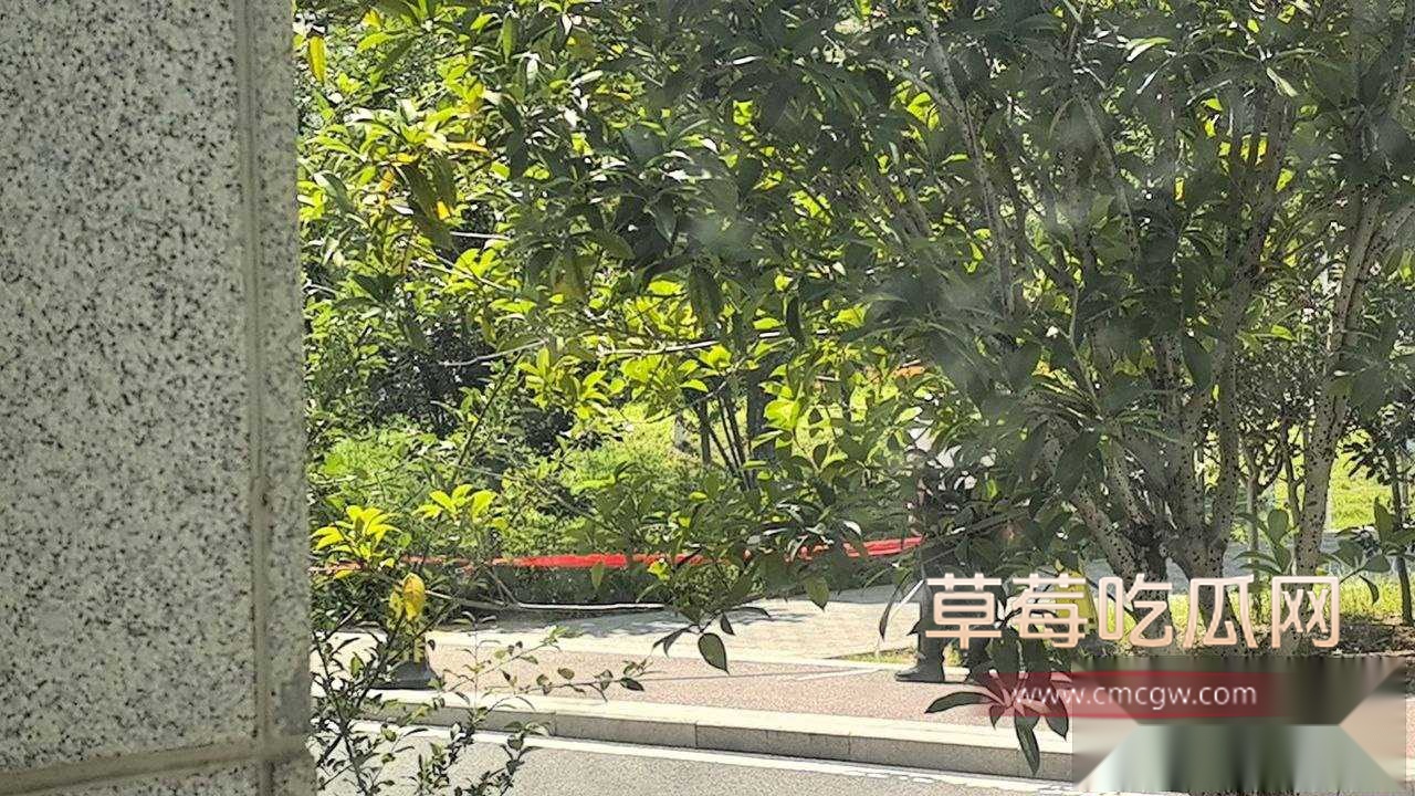 学校溺亡事件 8 学校溺亡事件 8