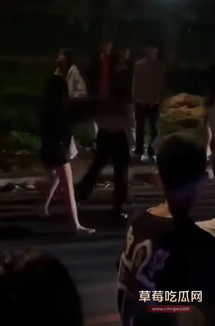 精神小妹打架 5 精神小妹打架 5