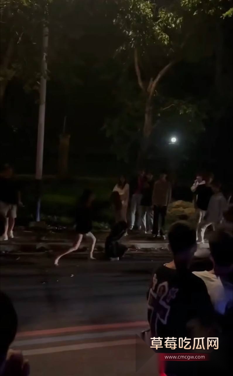 精神小妹打架 6 精神小妹打架 6