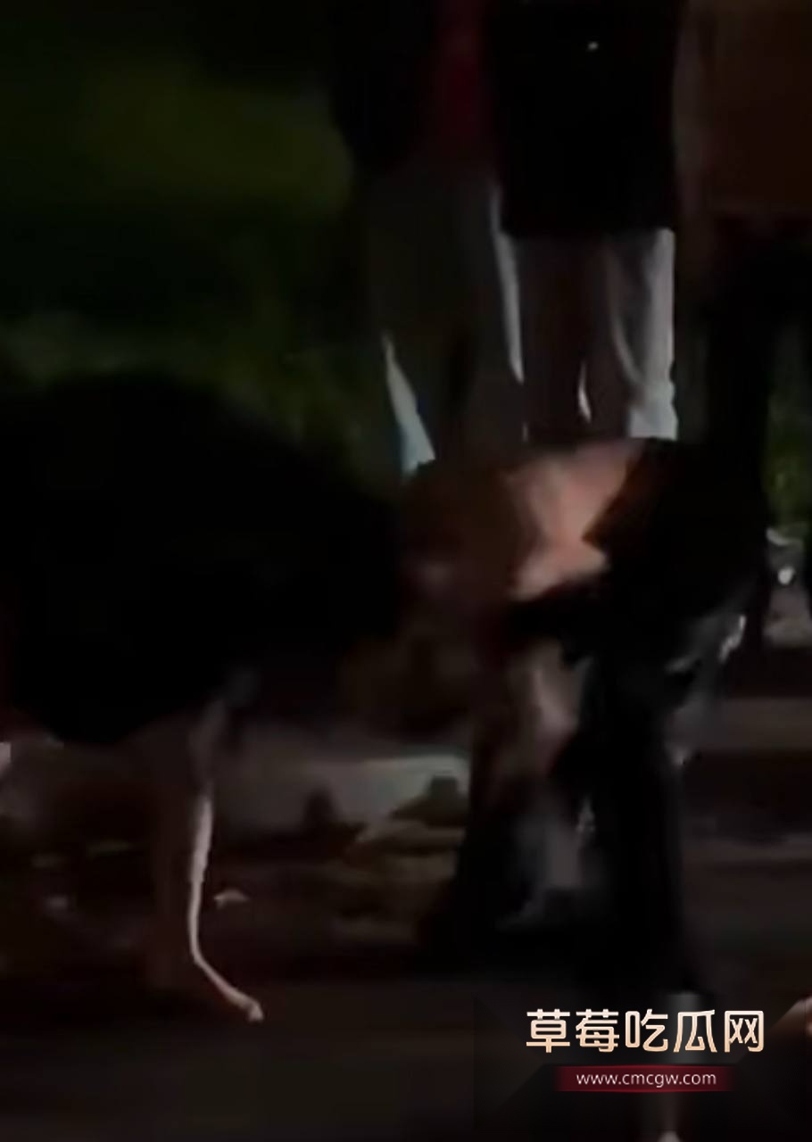 精神小妹打架 7 精神小妹打架 7