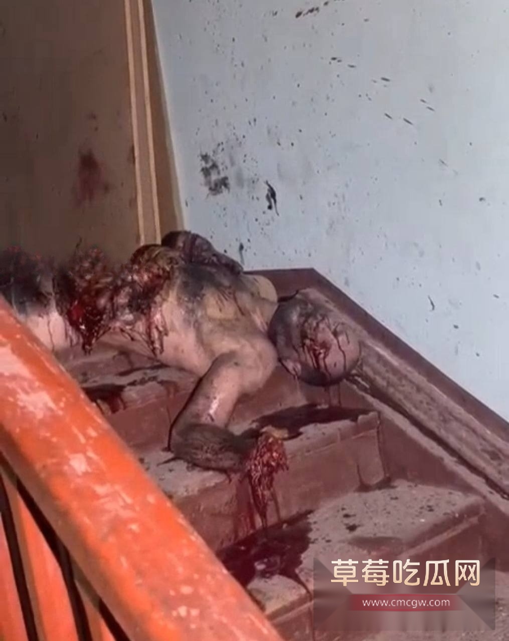 生日聚会上被手榴弹炸死 1 生日聚会上被手榴弹炸死 1