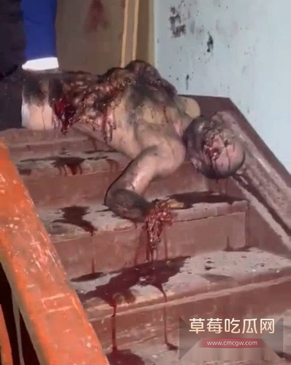 生日聚会上被手榴弹炸死 2 生日聚会上被手榴弹炸死 2