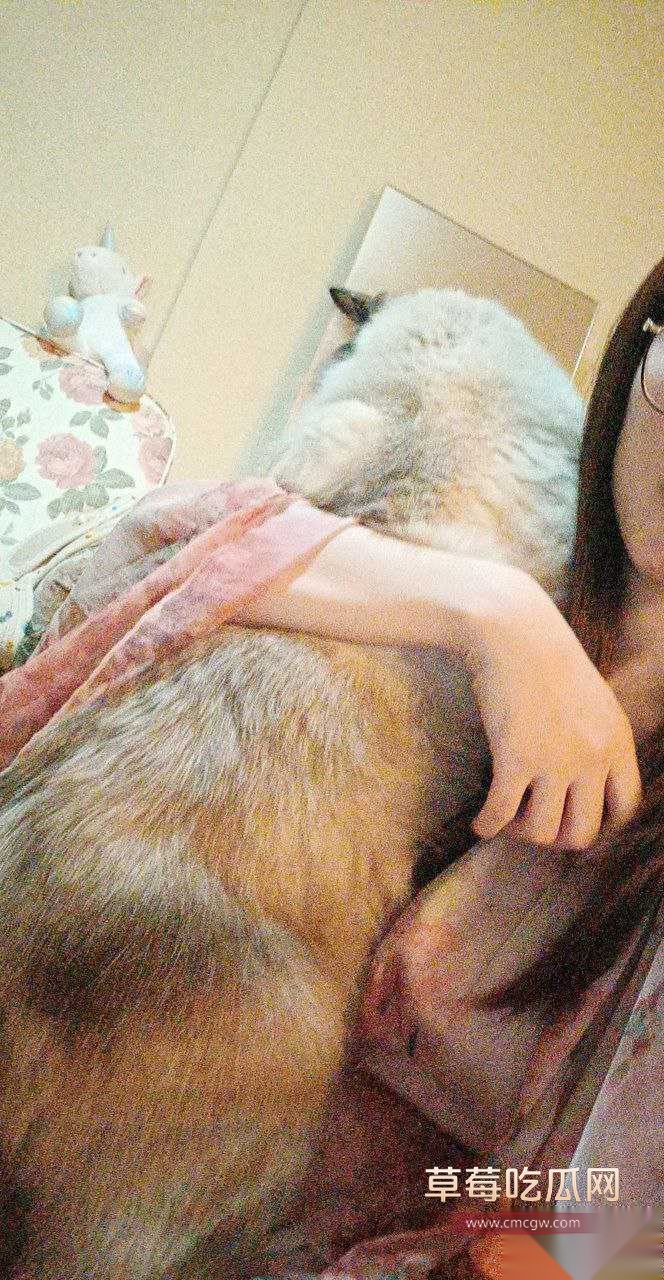 成都卖逼的机车网红 2 成都卖逼的机车网红 2