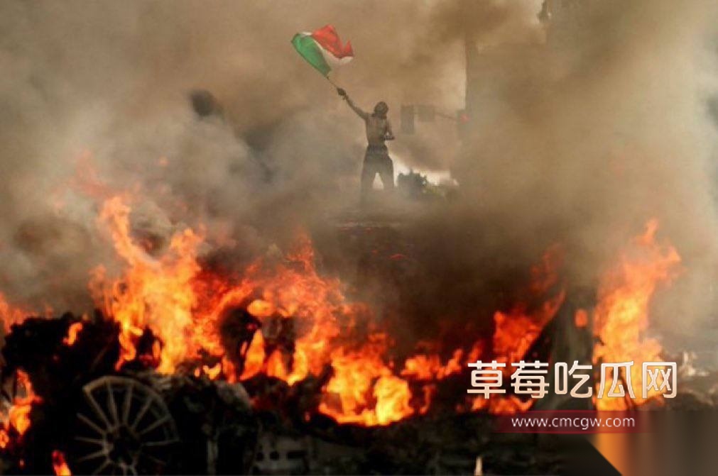 无偿投稿:美国洛杉矶大暴乱 多名中国留学生被洗脑乱入9 无偿投稿:美国洛杉矶大暴乱 多名中国留学生被洗脑乱入9