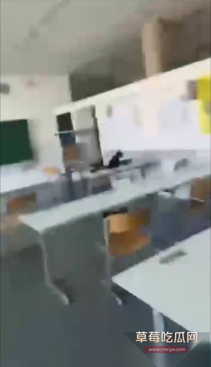 奥地利格拉茨学校发生枪击事件 4 奥地利格拉茨学校发生枪击事件 4