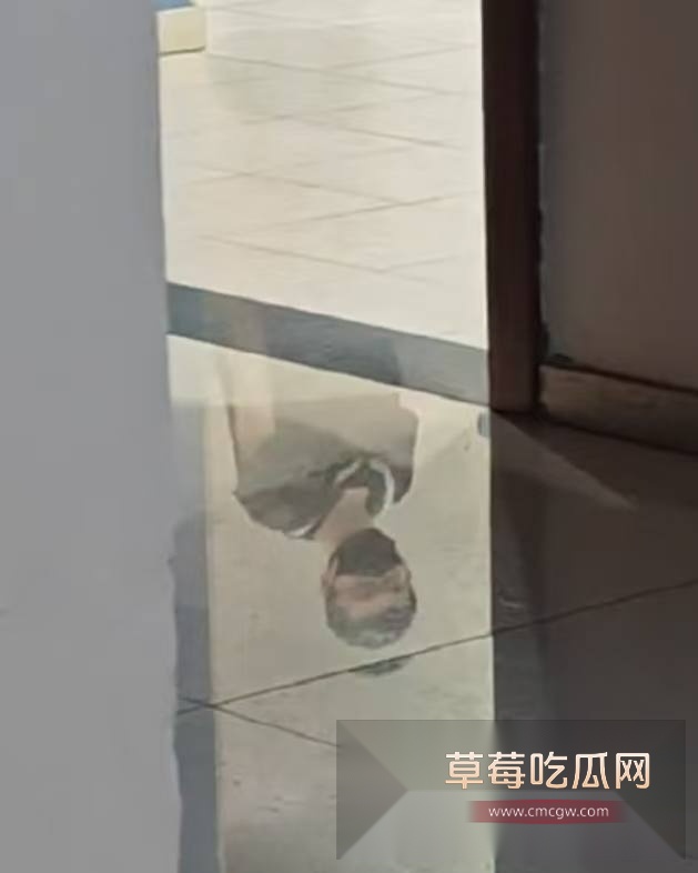 男厕所变态 7