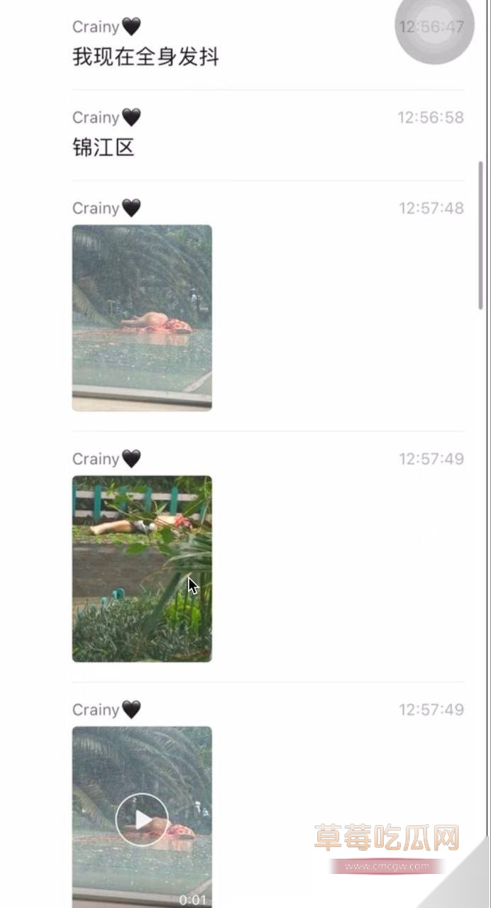 锦江区大慈寺路3号高坠警情 5 锦江区大慈寺路3号高坠警情 5