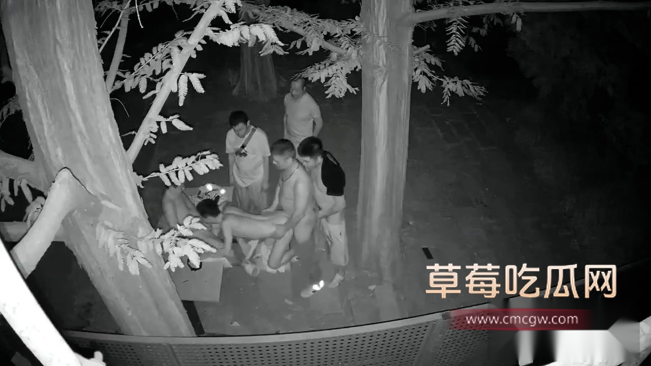 成都百花潭公园男同淫趴 5 成都百花潭公园男同淫趴 5