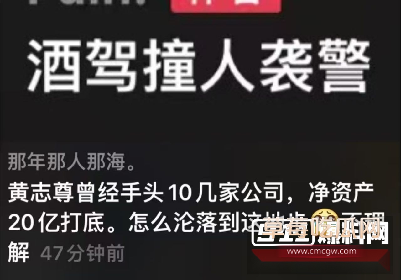 大佬黄志尊醉驾撞人袭警 6