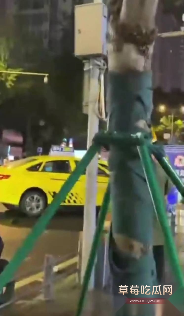 重庆疯狂出租车 9 重庆疯狂出租车 9