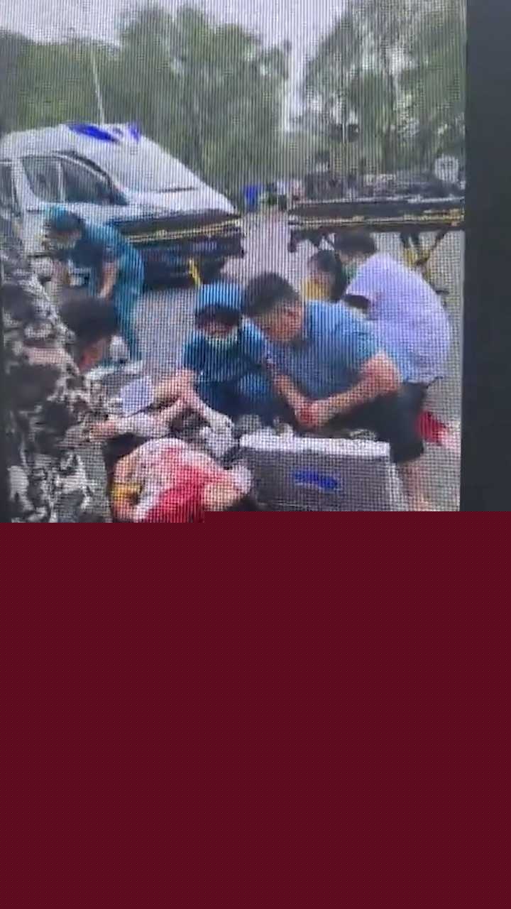 洛阳玉米摊冲突 3 洛阳玉米摊冲突 3