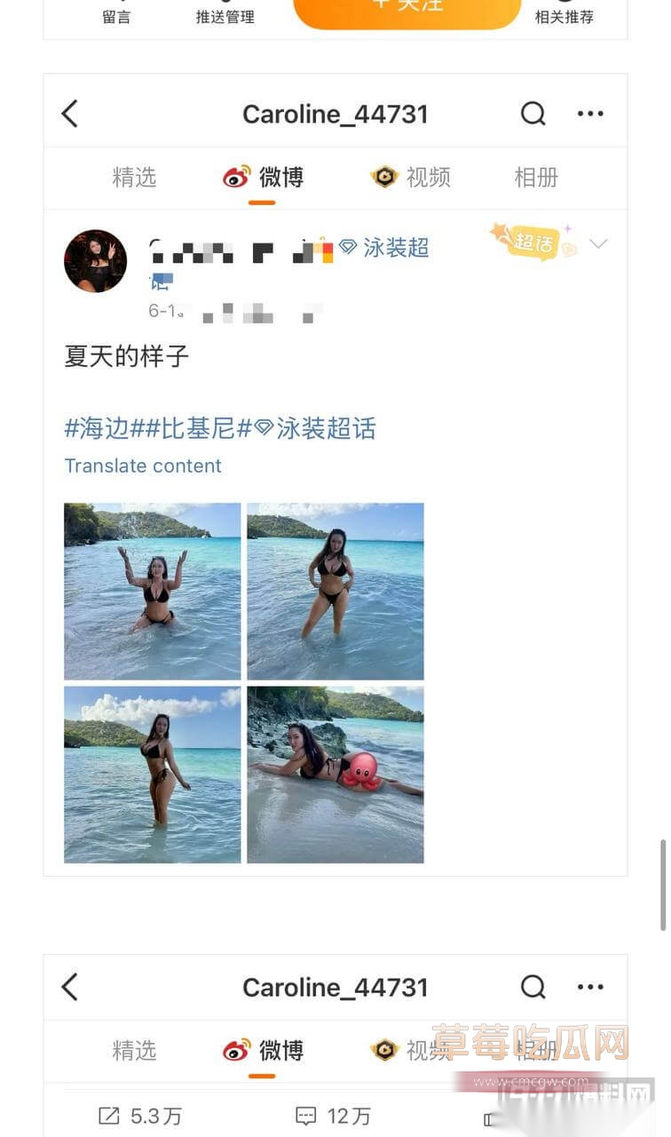 113.jpg 113.jpg